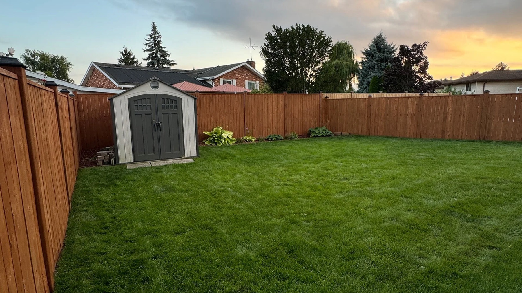 Fence staining project Fence staining project